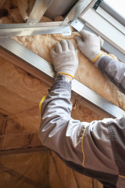 Types of Insulation We Offer in Pascagoula, MS