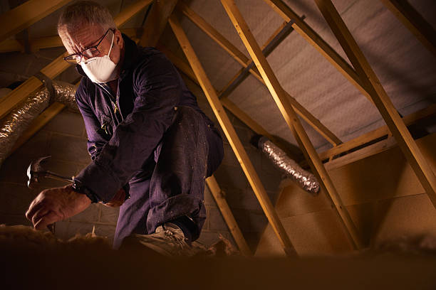 Best Commercial Insulation in Pascagoula, MS