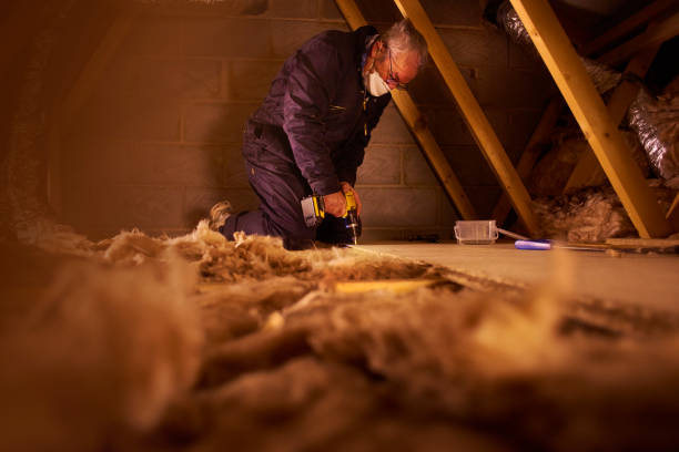 Best Residential Insulation in Pascagoula, MS