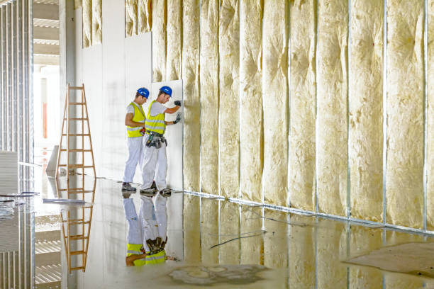 Best Eco-Friendly Insulation in Pascagoula, MS